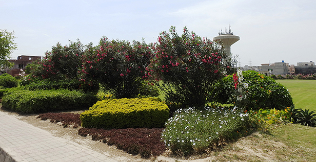 Tariq Gardens